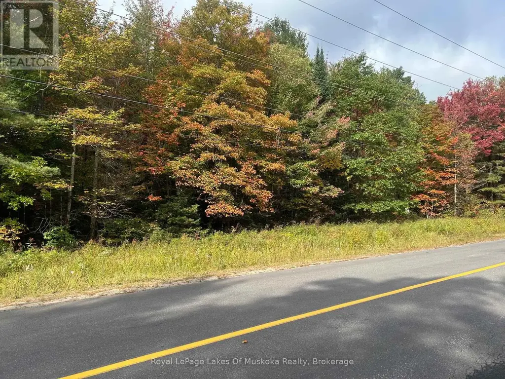 Pt2 35r 132264 Bonnie Lake Road, Bracebridge (Macaulay)